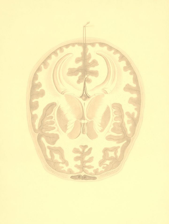 Demand for sincerity in an AI generated world