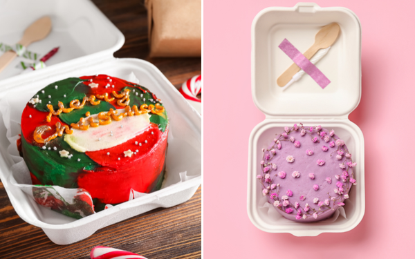 5 Bento Cake Boxes Showdown - Which One Deserves Your Bake-Off Crown?