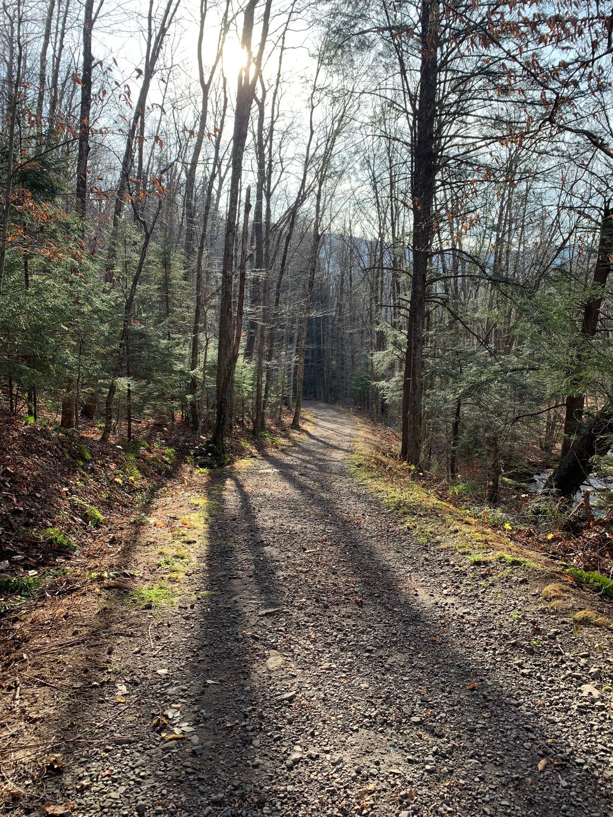 An Ode to Unproductivity