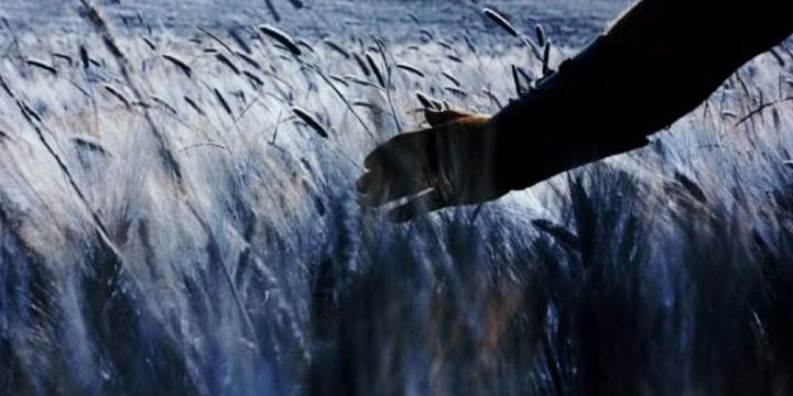 How Much More Can You Take?