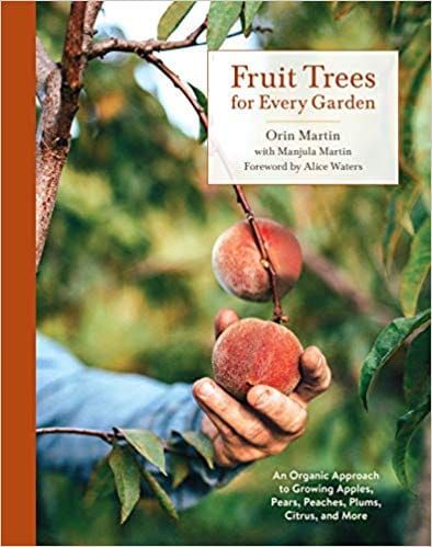Summer Reading