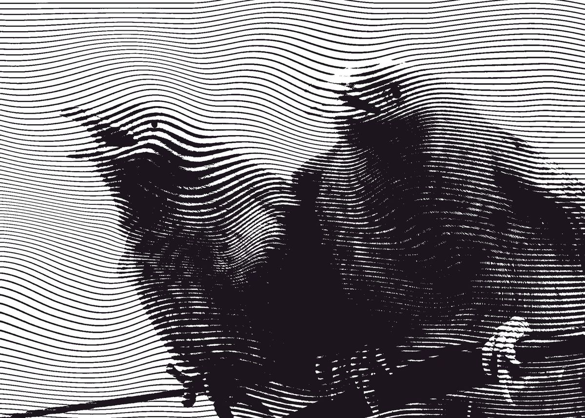 ON THE CUCK'S ORIGINS