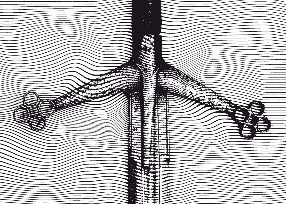 CLAYMORE, MORE, MORE