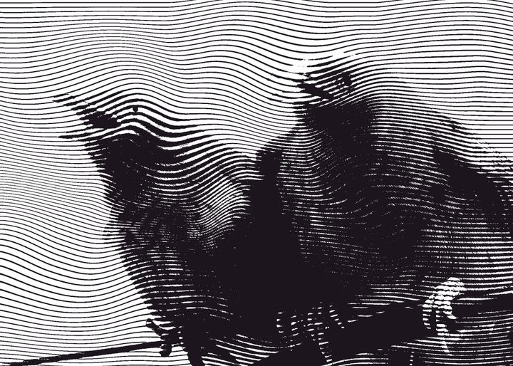 ON THE CUCK'S ORIGINS