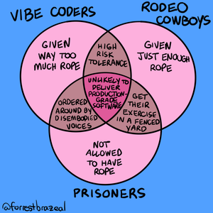 Vibe Coders