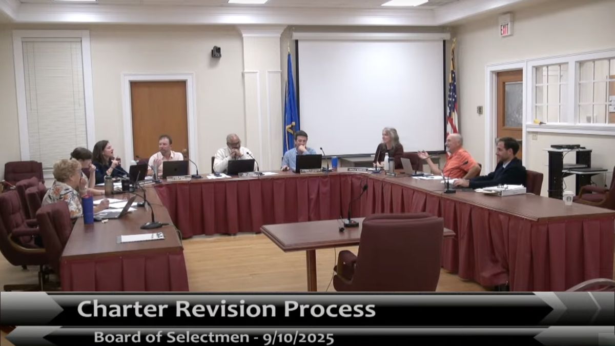 What is Charter Revision?