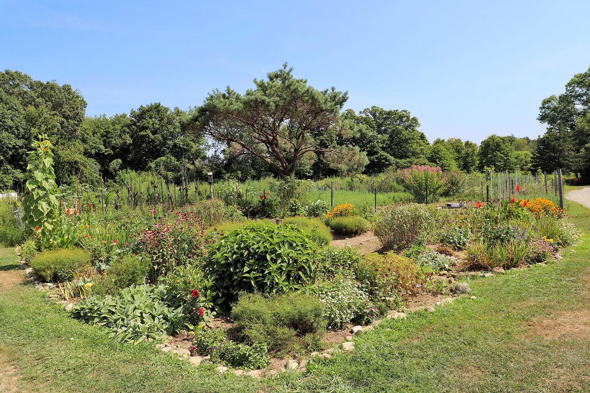 Where Community and Nature Thrive: The Woodbridge Community Gardens