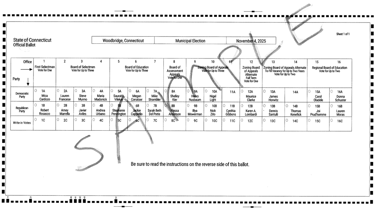 Woodbridge Sample Ballot Released