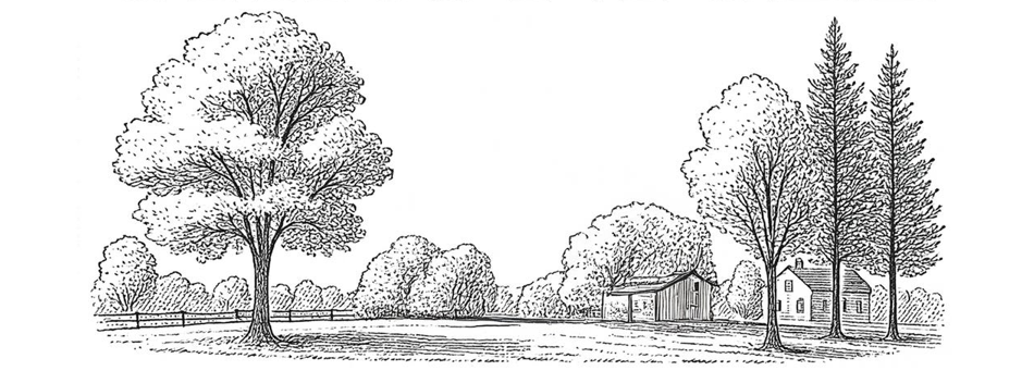 A new publishing platform for the Woodbridge Town Chronicle