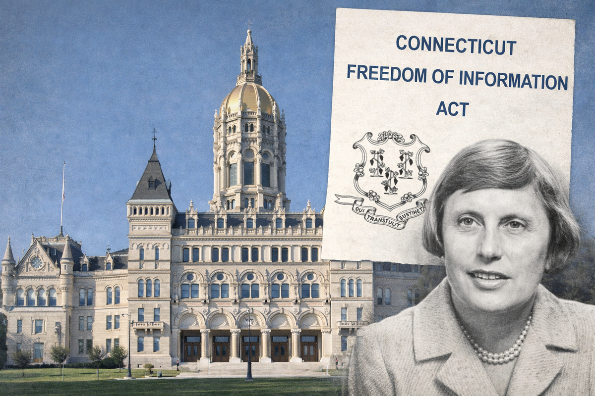 Watching the work of government