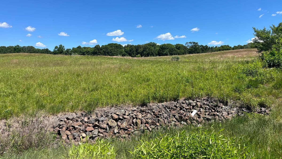 Acorn Hill: A vision for restoration, recreation, and community — and a draft proposal for the future