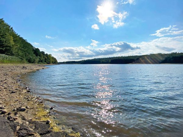 Lake Chamberlain: Nature, History, and a Vital Resource