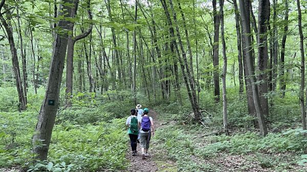 Safeguarding Woodbridge’s Future: Our Perspective on Development and Conservation