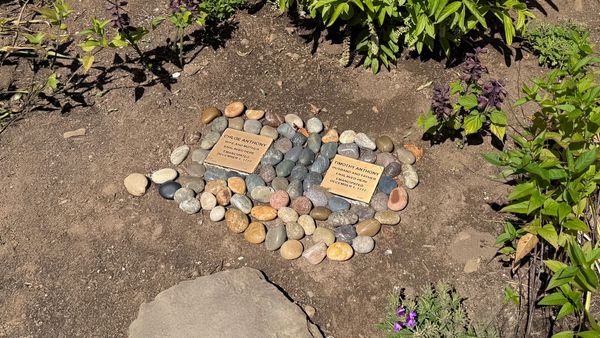 Witness Stones commemorate the lives of Chloe and Timothy Anthony
