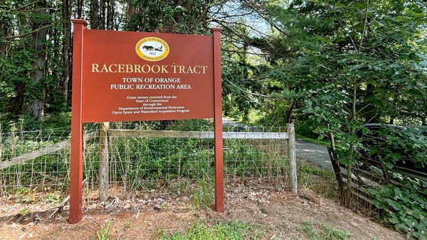 Visiting the Racebrook Tract to see the impact of preservation