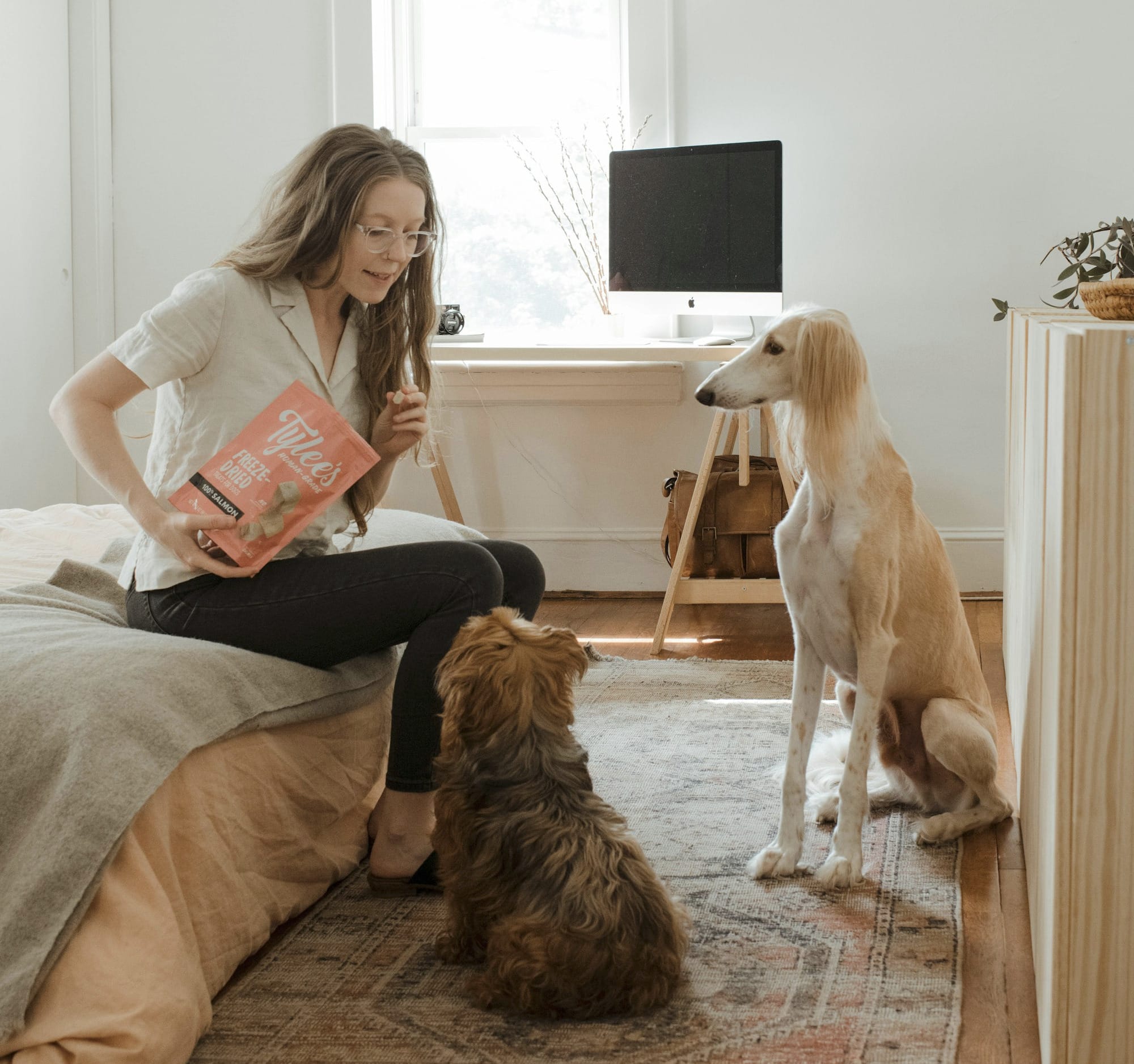 woman in gray shirt sitting on brown couch beside brown long coated dog