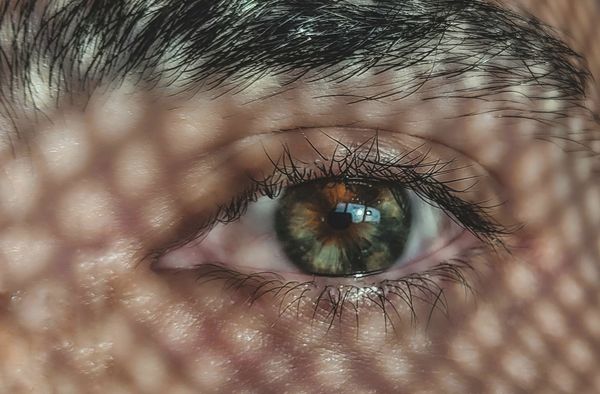 Biometrics: The Worst, Best Authentication Factor