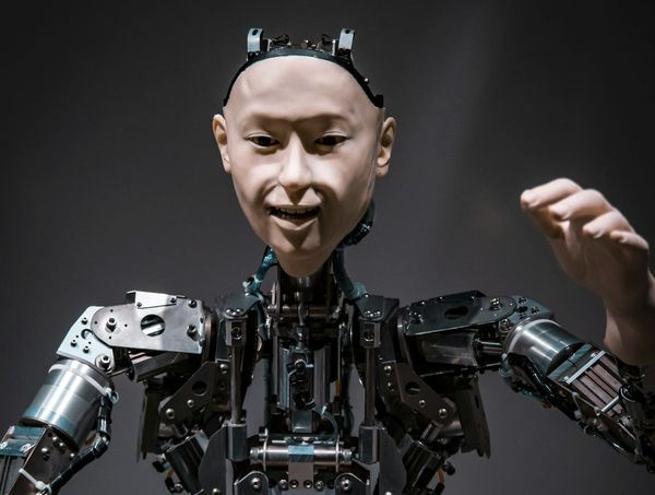 Toxic Anthropomorphism