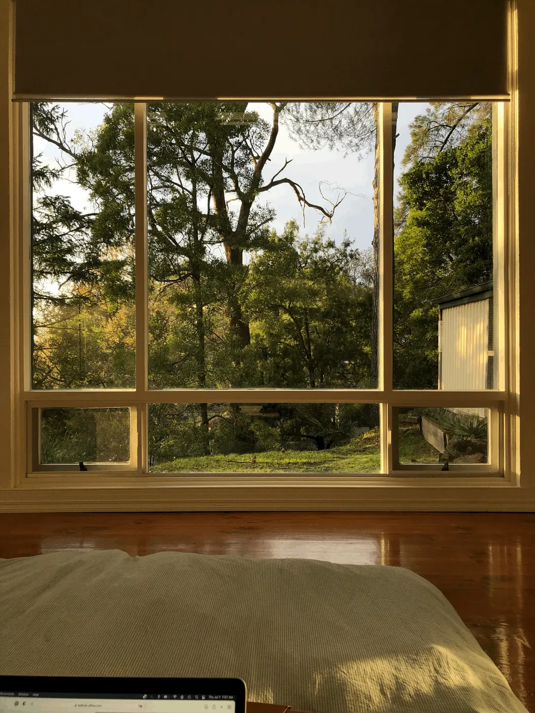 Stretch your eyes from where you sit