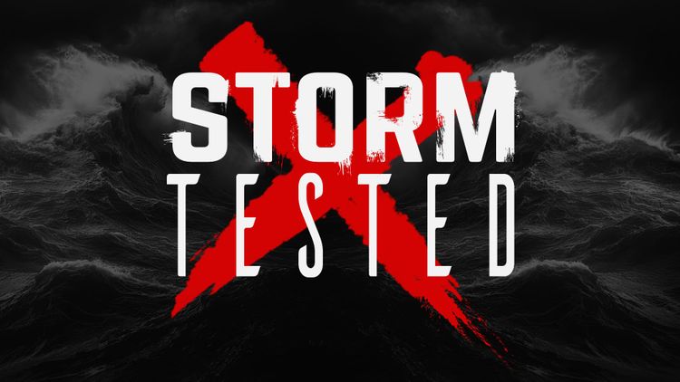 Storm-Tested: What Separates Project Leaders from Project Managers?