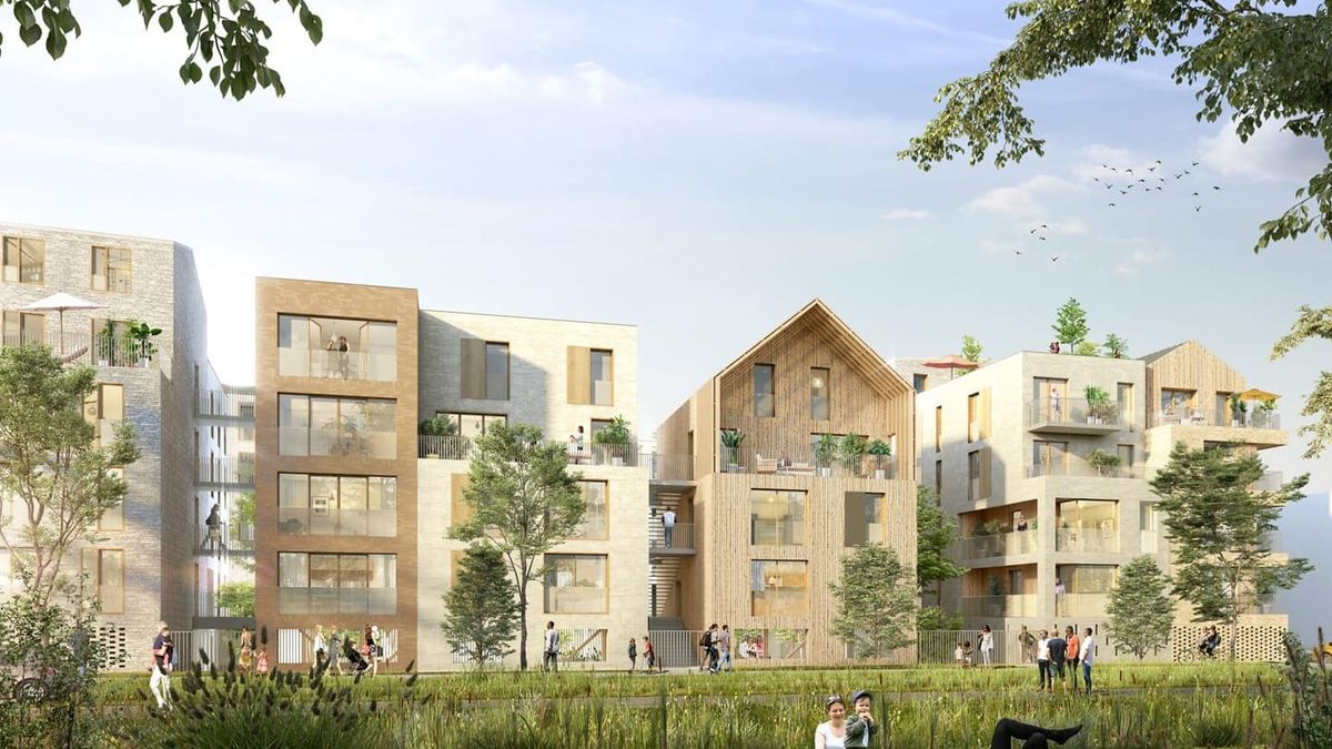 Arboresens | Vision Écologique de DAQUIN FERRIÈRE & ASSOCIÉS