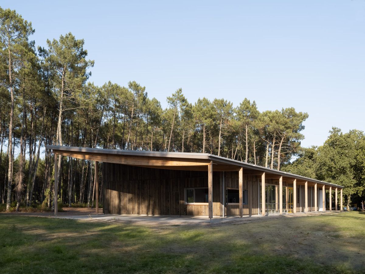 La Pinède | Une école au milieu des pins, par ZW/A