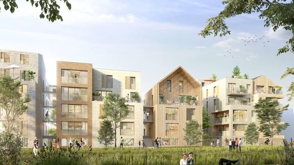 Arboresens | Vision Écologique de DAQUIN FERRIÈRE & ASSOCIÉS