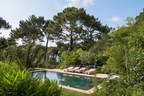 Une villa entre forêt et horizon