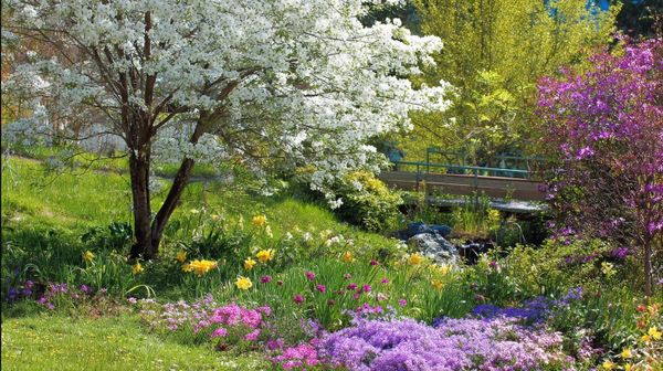 Spring Gardening Tips from GardenSphere in Proctor District Tacoma