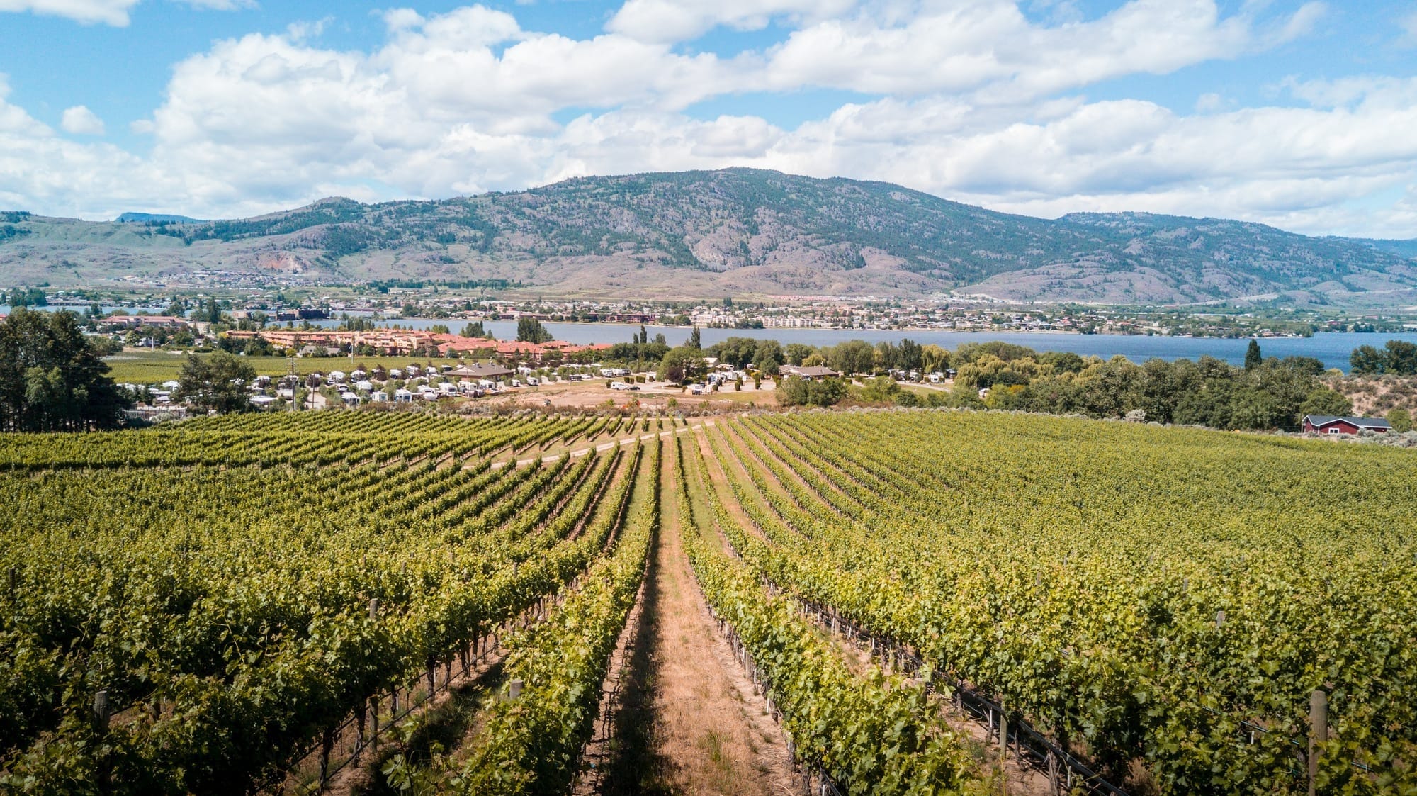 Vineyard overlooking Osoyoos Lake & Osoyoos. Provided by Destination Osoyoos