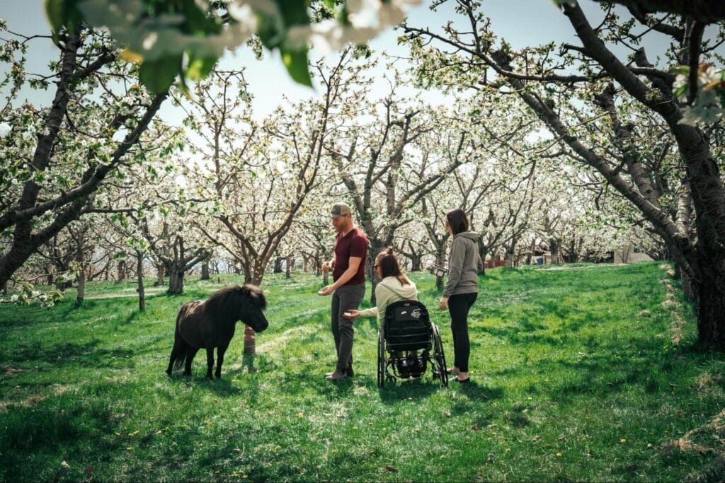 Rose Hill Orchard/Courtesy of tourismkelowna.com – Ken Hagen
