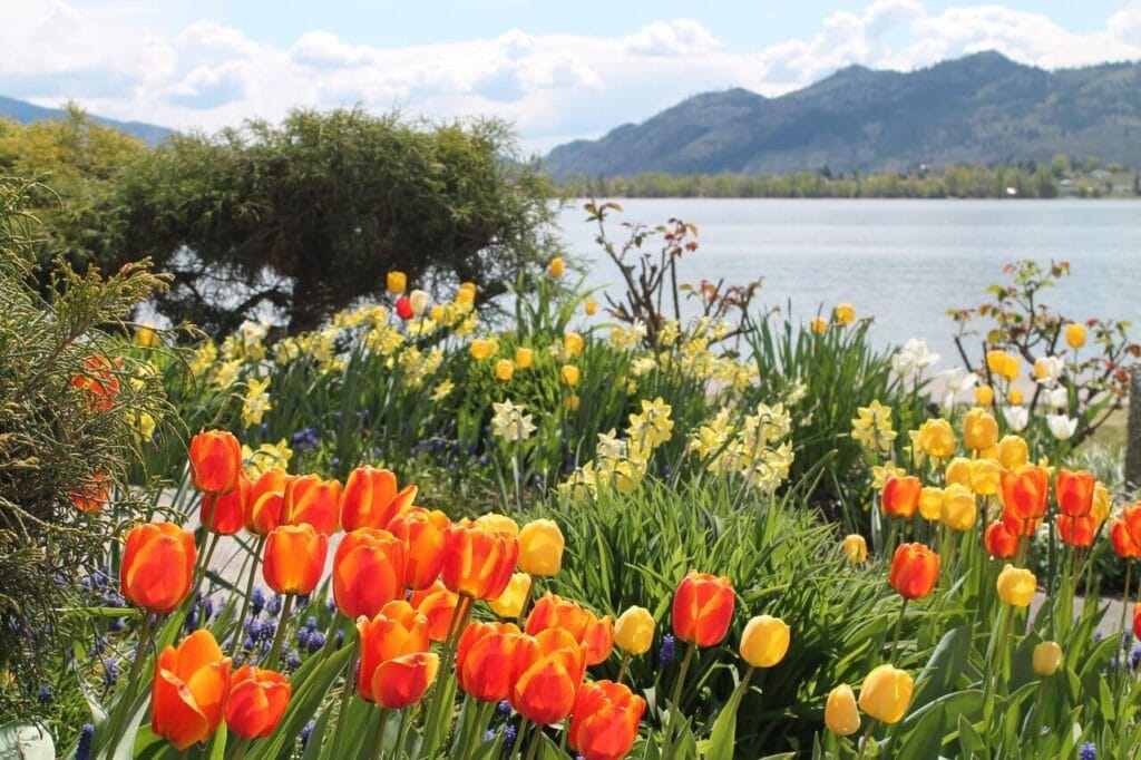 Destination Osoyoos
