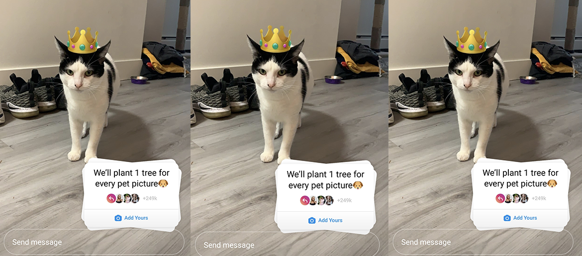 This Is the Big Lesson For Us All in the Viral Plant A Tree Co Drama