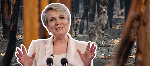 Did the 2021 State of the Environment Report Tell Us Anything We Don’t Already Know?