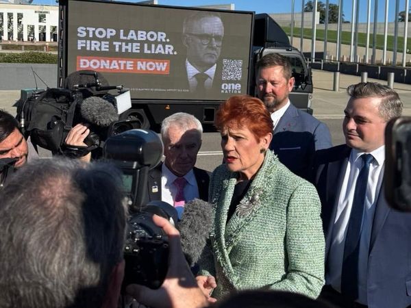 Politics needs Pauline Hanson.