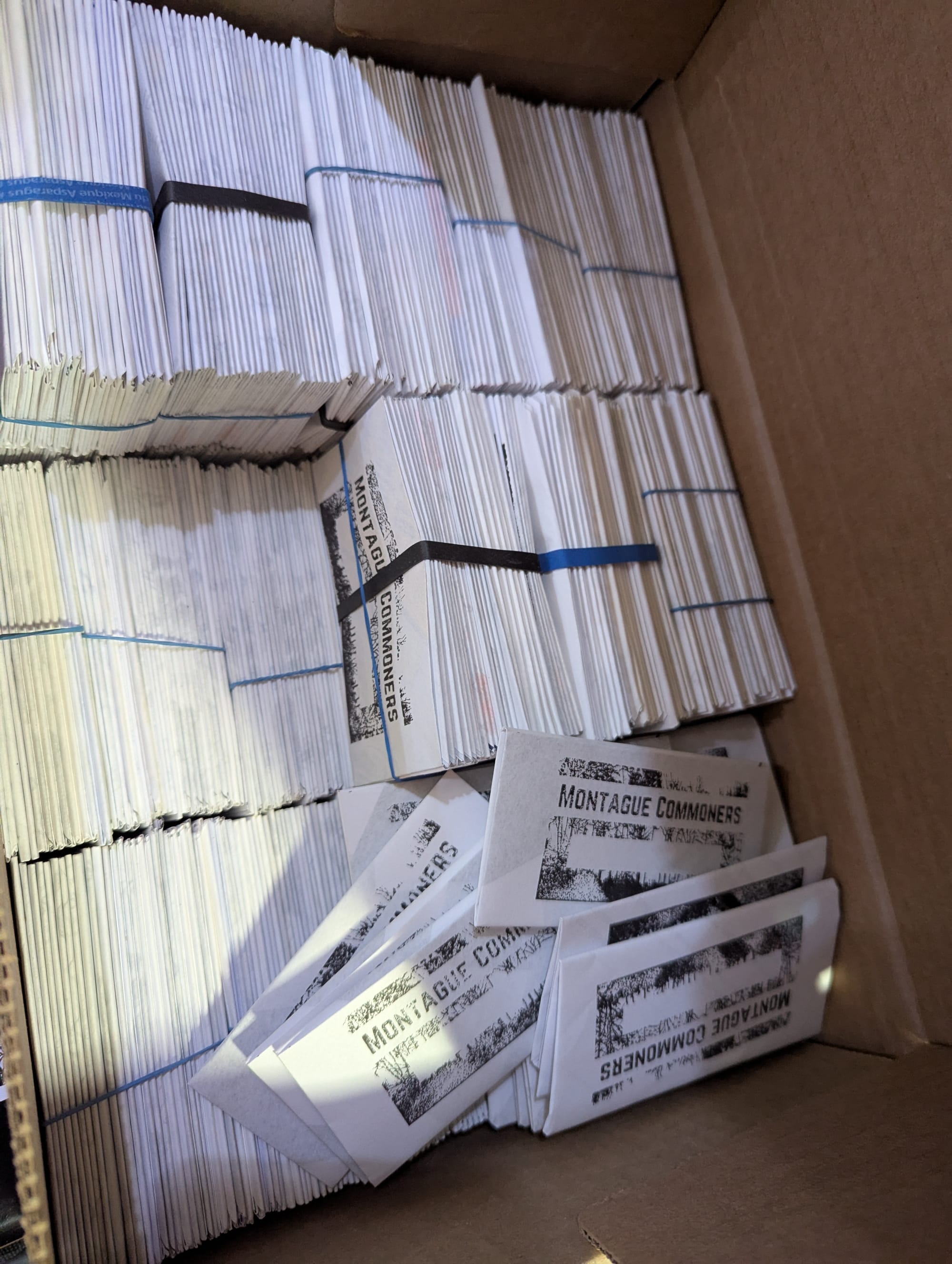 A box filled with folded seed packets. Each seed packet is stamped with the Montague Commoners logo and has a blank space for writing the type of seeds it contains.