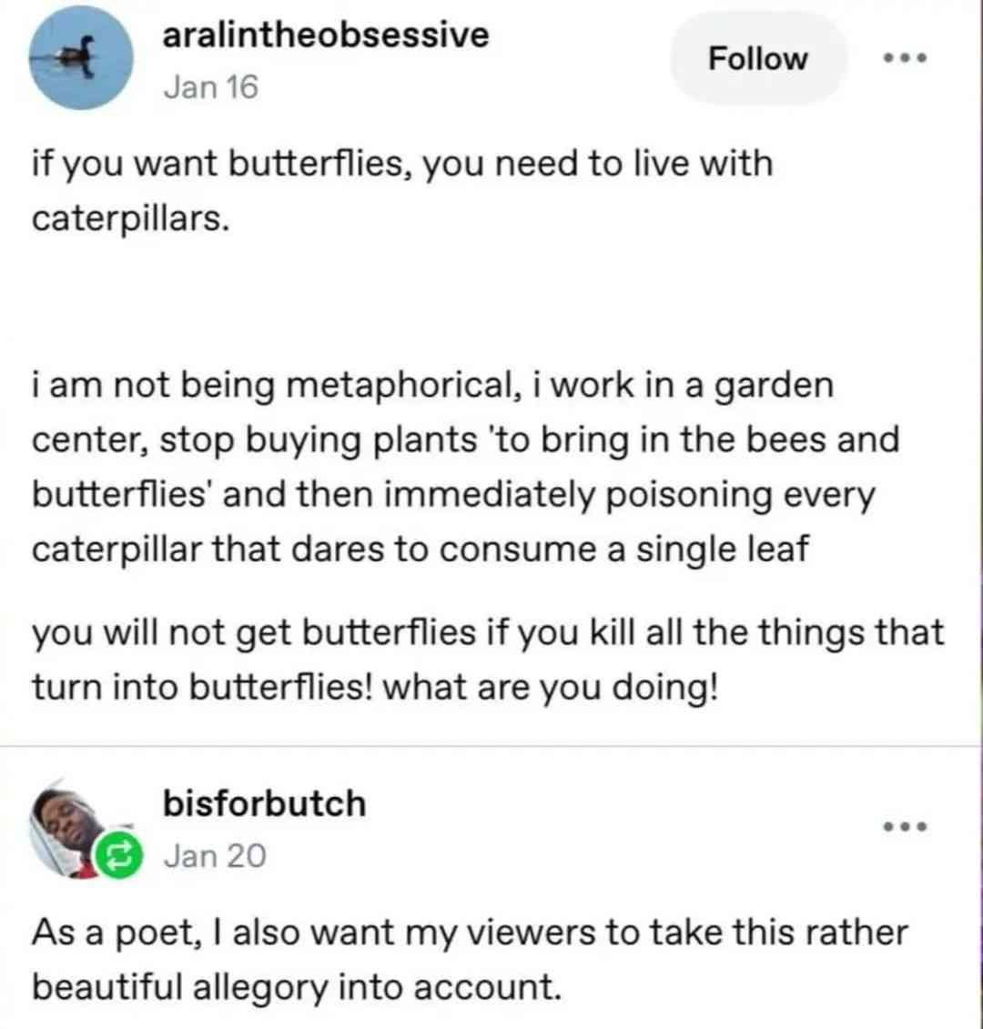 A text post that reads "if you want butterflies, you need to live with caterpillars. I'm not being metaphorical. I work in a garden center. Stop buying plants 'to bring in the bees and butterflies' and then immediately poisoning every caterpillar that dares to consume a single leaf. You will not get butterflies if you kill all the things that turn into butterflies! What are you doing?"