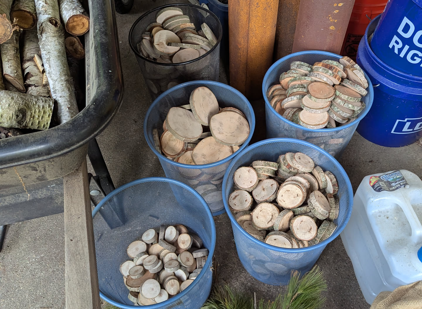 Five wire mesh wastebaskets filled with slices of wood cut from the beech branches above.