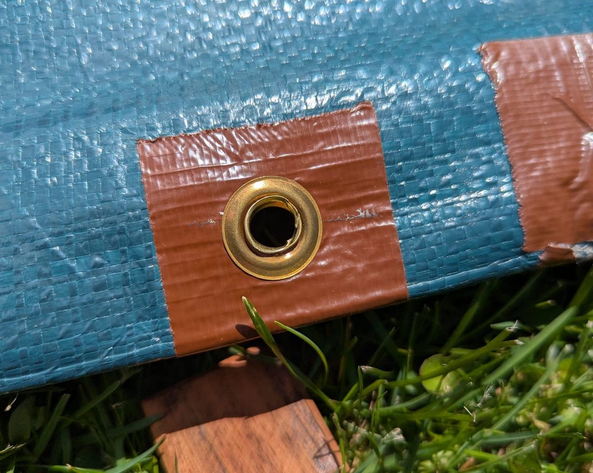 Blackfly hatch thwarts local newsletter for several weeks