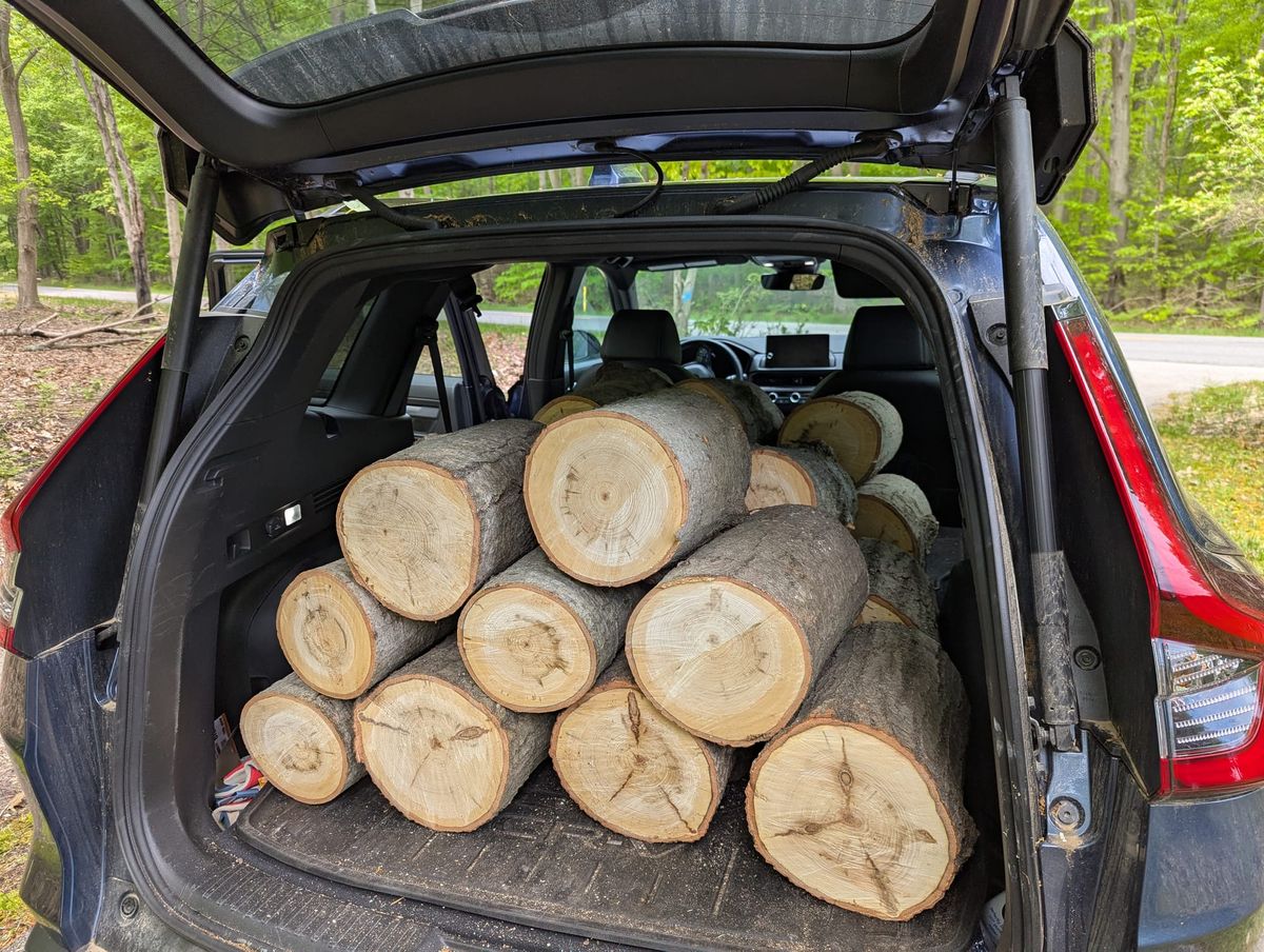 First Firewood Guild Harvest!