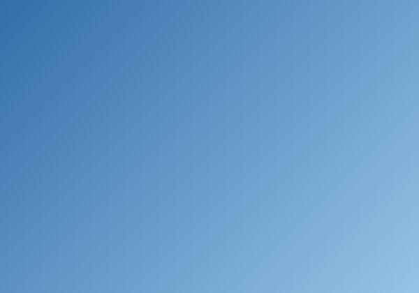 belskiy cover image