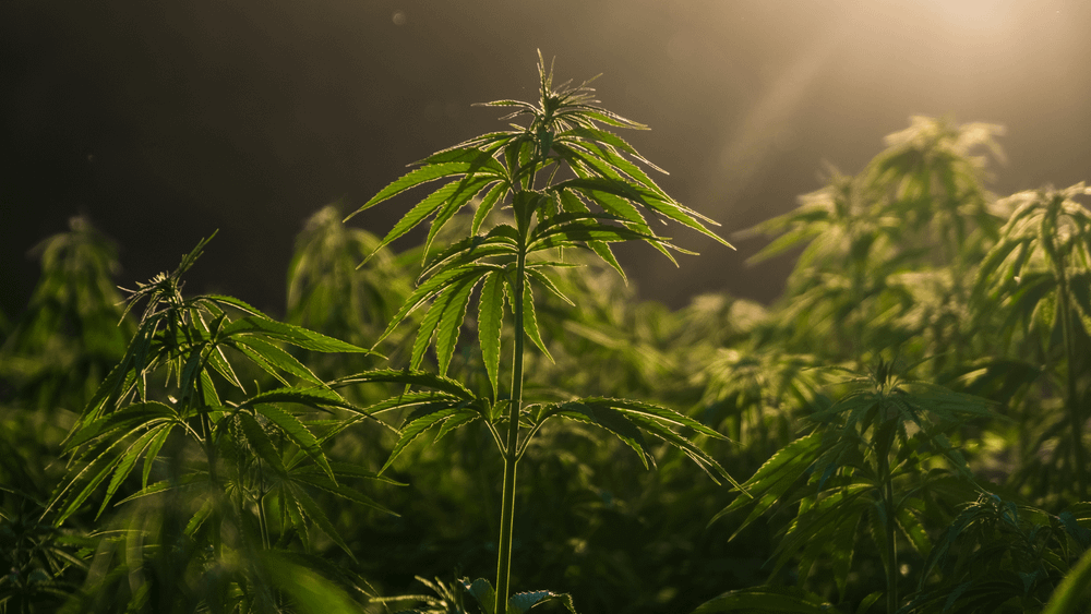 Avoid these 3 operational mistakes that are putting your facility at serious risk