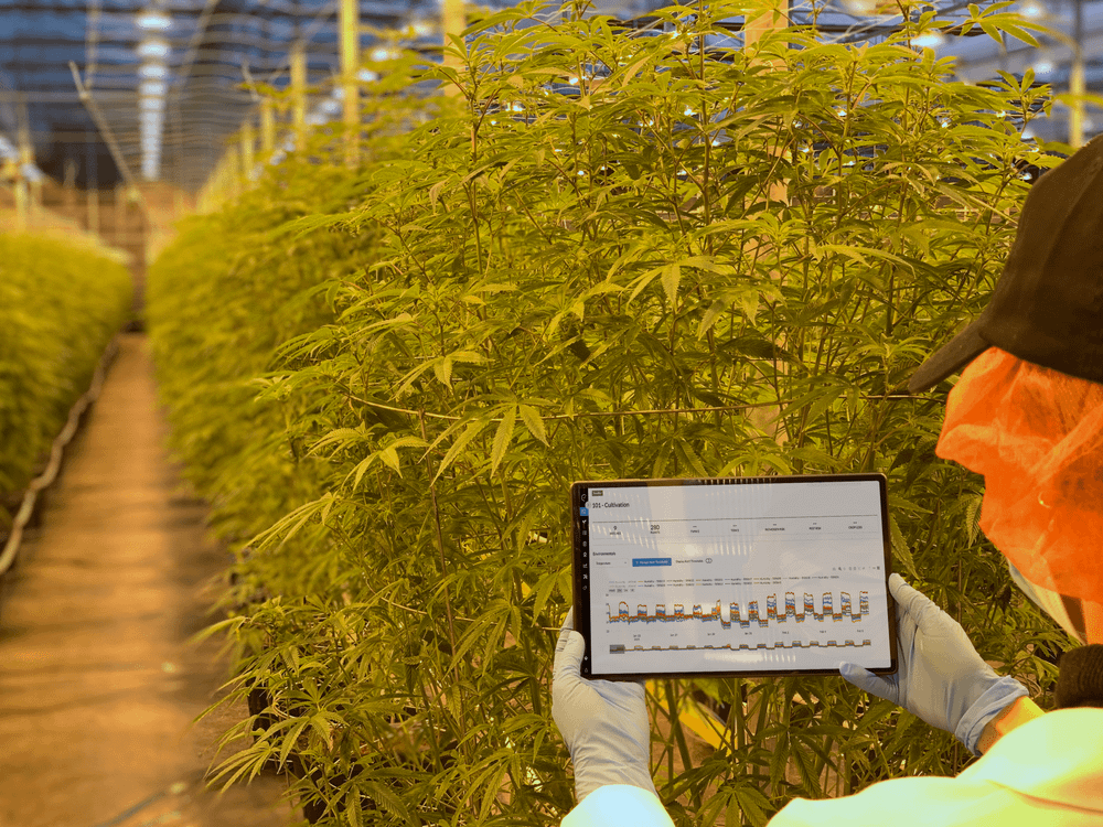 What is a batch record and how can quality assurance teams compile them faster?