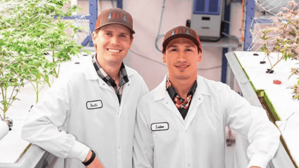 Case study: Streamlining Habitat's processes to help it scale