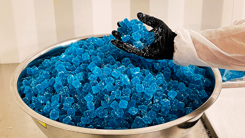 Case Study: Helping Leaf Infusions streamline its complex manufacturing operation