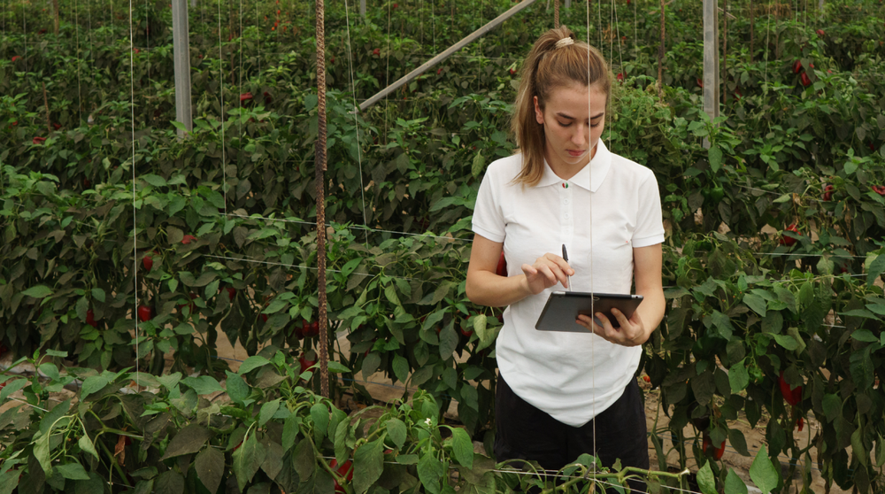 Étude de cas: Origine Nature