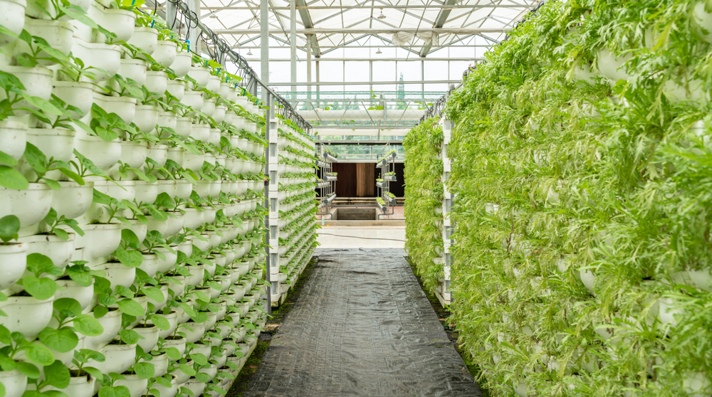 Case Study: Enabling Prairie Grass to be paperless from day 1