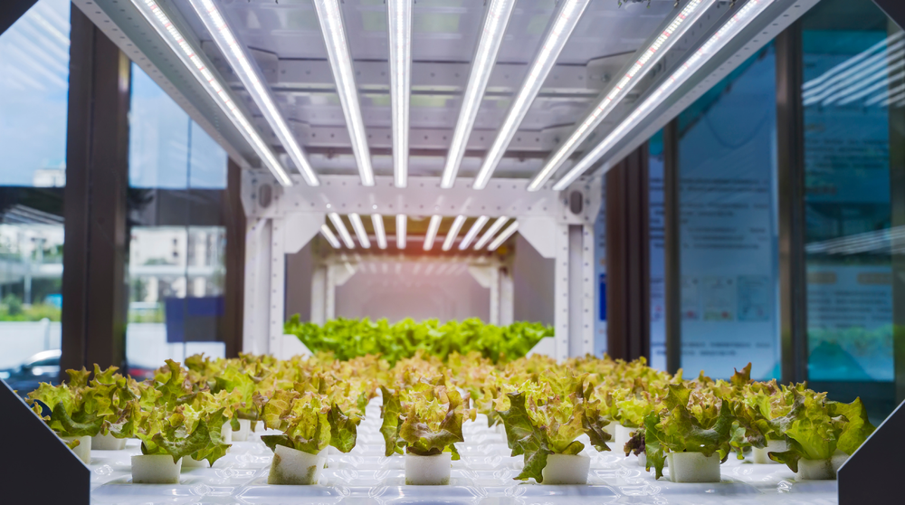 Case study: Saving Tantalus Labs $1.3m with paperless record keeping