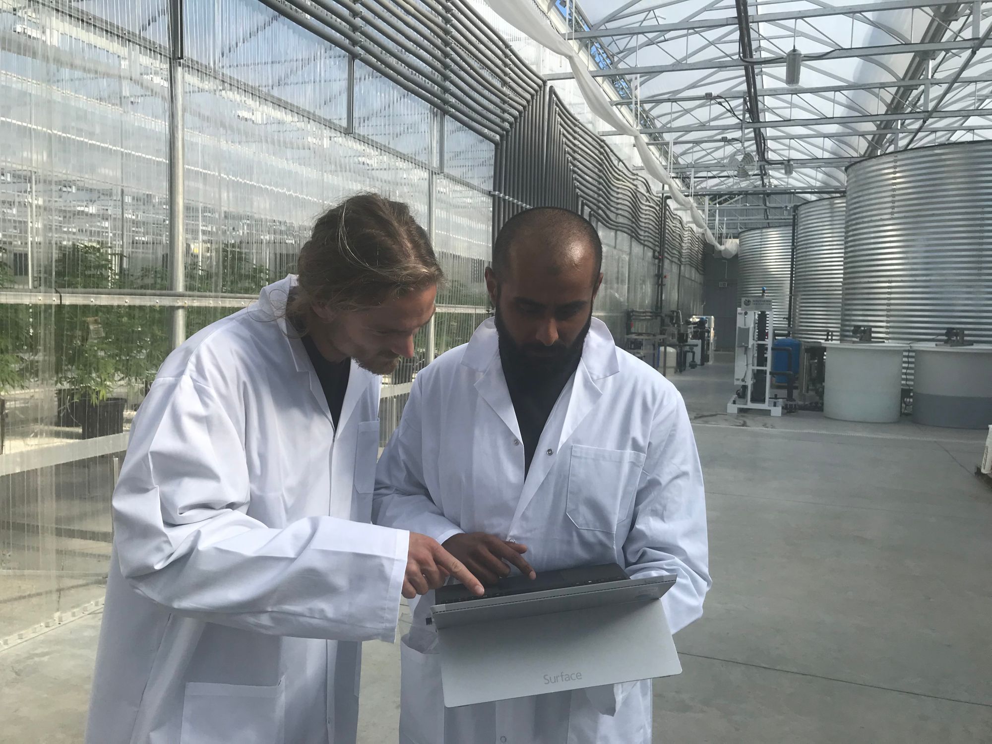 Cannabis software can help you speed up CTS reporting 