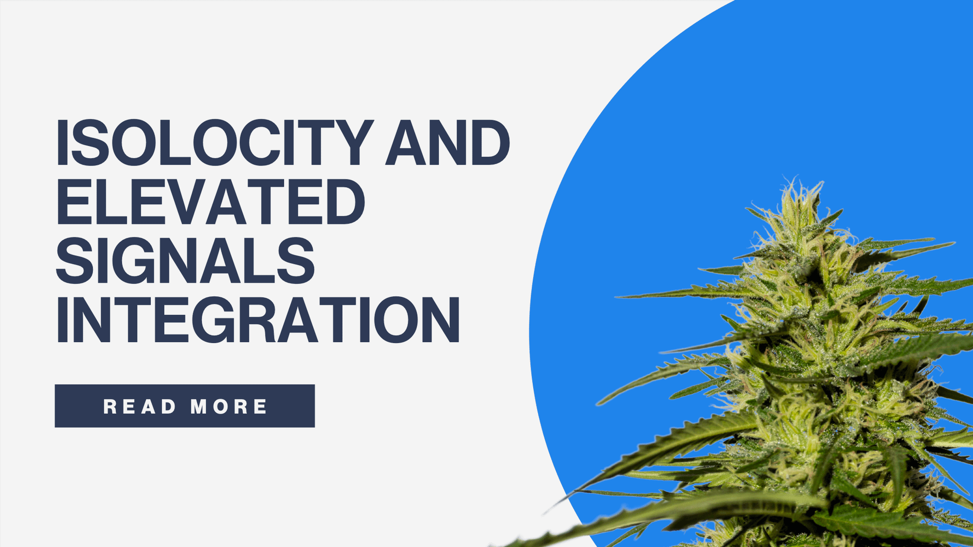 Isolocity and Elevated Signals intergration